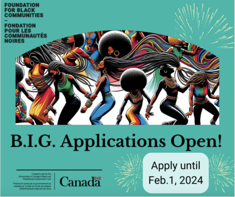B.I.G. Black Ideas Grant Bridge and Build 2023 from Foundation for